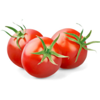 Tomato