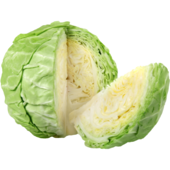 Cabbage - Green