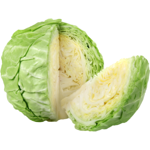 Cabbage - Green Cabbage - Green