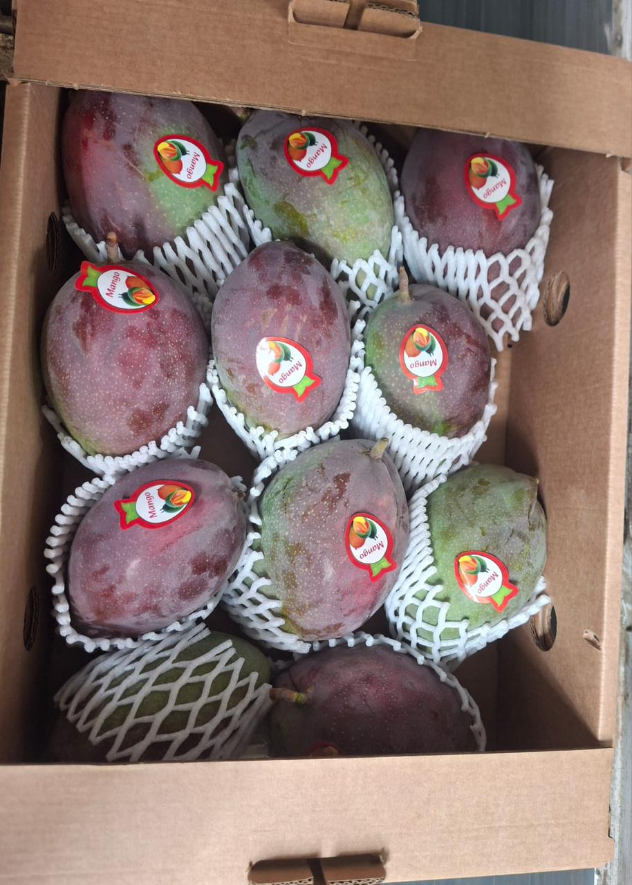 WhatsApp Image 2025-12-03 at 12.13.11 PM (1)