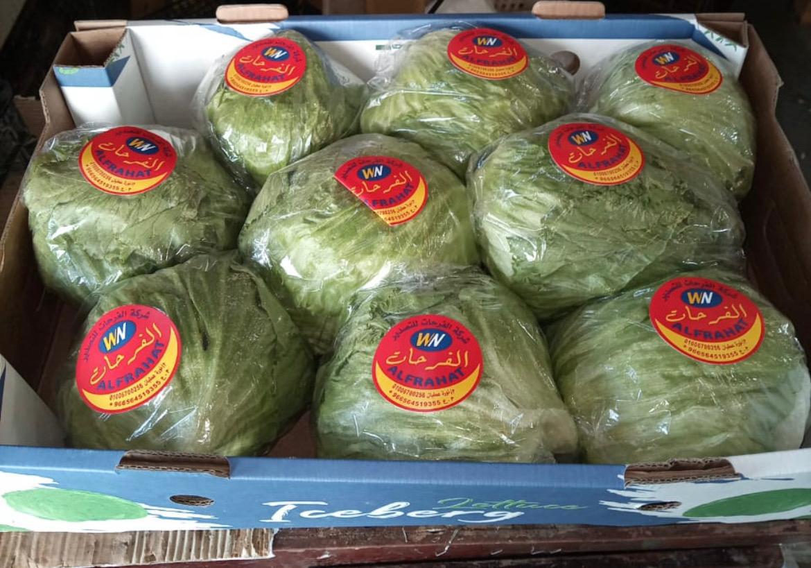 WhatsApp Image 2025-12-03 at 12.13.12 PM