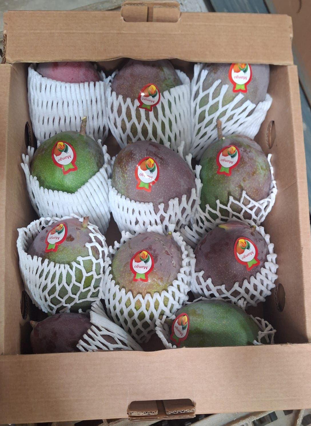 WhatsApp Image 2025-12-03 at 12.13.14 PM (2)