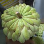 Custard Apple