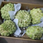 Custard Apple