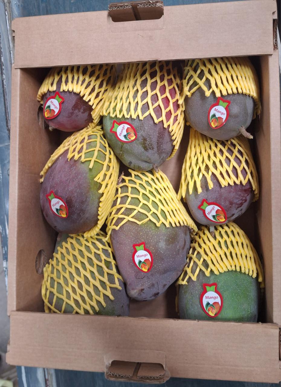 WhatsApp Image 2025-12-03 at 12.13.15 PM (3)