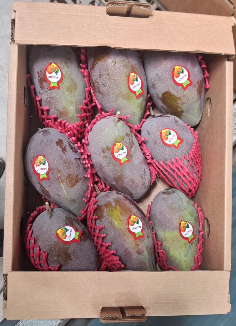 WhatsApp Image 2025-12-03 at 12.13.16 PM (3)