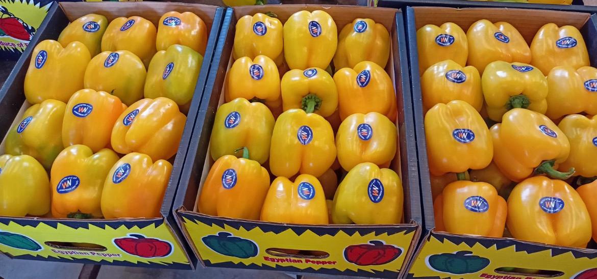 WhatsApp Image 2025-12-03 at 12.13.16 PM (4)