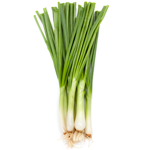 green onion Spring Onions